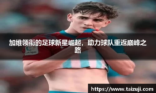 彩神VI首页官网