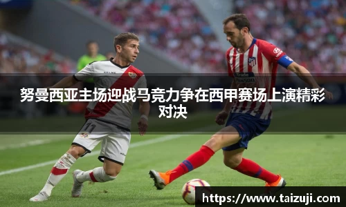 彩神VI首页官网