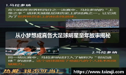 彩神VI首页官网